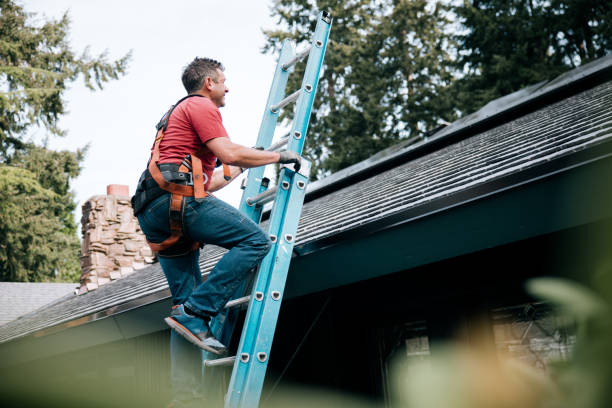 Steel Roofing in Wolfforth, TX